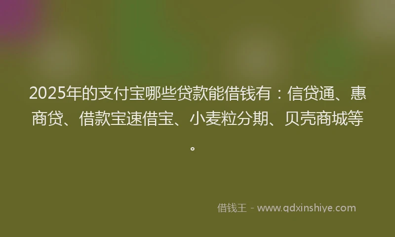 2025年的支付宝哪些贷款能借钱有：信贷通、惠商贷、借款宝速借宝、小麦粒分期、贝壳商城等。