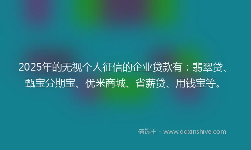 2025年的无视个人征信的企业贷款有：翡翠贷、甄宝分期宝、优米商城、省薪贷、用钱宝等。