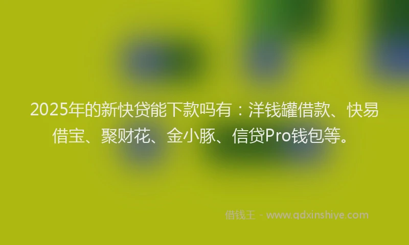 2025年的新快贷能下款吗有：洋钱罐借款、快易借宝、聚财花、金小豚、信贷Pro钱包等。