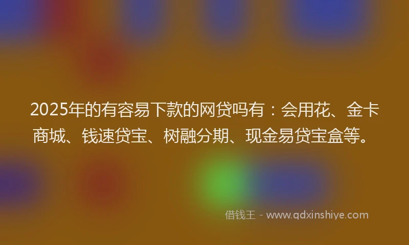 2025年的有容易下款的网贷吗有：会用花、金卡商城、钱速贷宝、树融分期、现金易贷宝盒等。