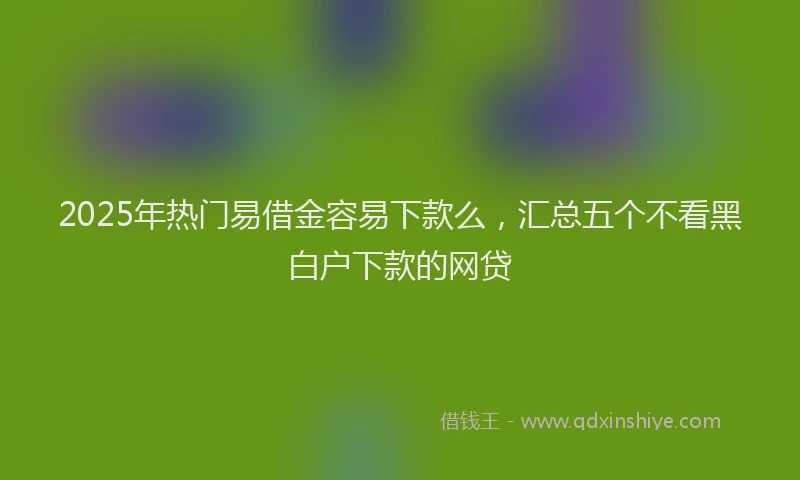 2025年热门易借金容易下款么，汇总五个不看黑白户下款的网贷