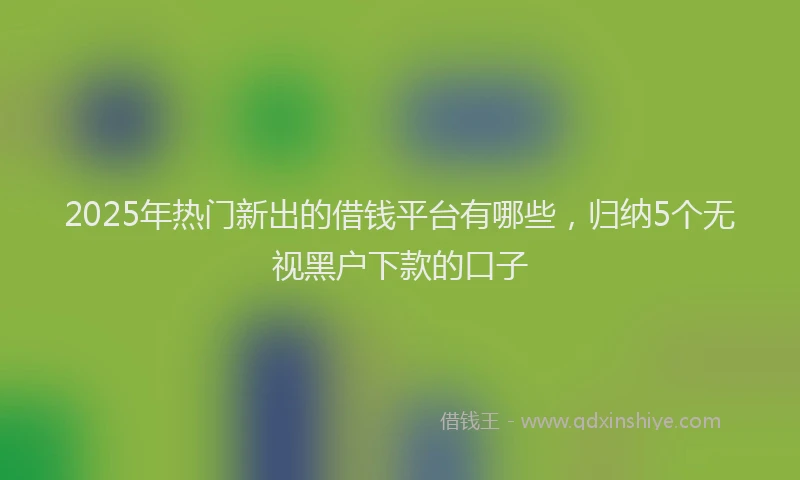 2025年热门新出的借钱平台有哪些，归纳5个无视黑户下款的口子