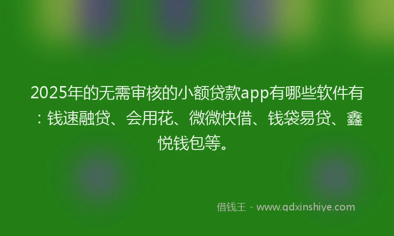 2025年的无需审核的小额贷款app有哪些软件有：钱速融贷、会用花、微微快借、钱袋易贷、鑫悦钱包等。