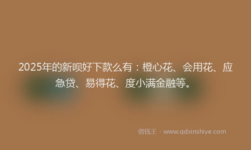 2025年的新呗好下款么有：橙心花、会用花、应急贷、易得花、度小满金融等。