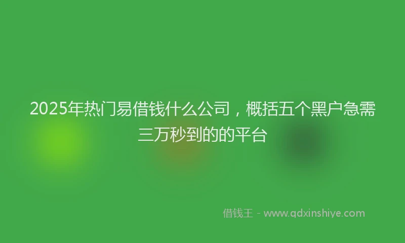 2025年热门易借钱什么公司，概括五个黑户急需三万秒到的的平台