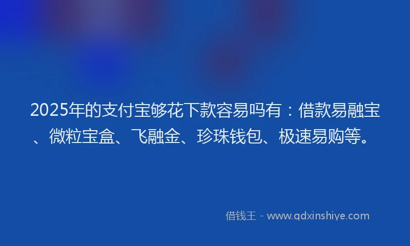 2025年的支付宝够花下款容易吗有：借款易融宝、微粒宝盒、飞融金、珍珠钱包、极速易购等。