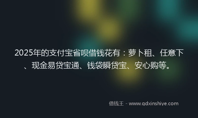 2025年的支付宝省呗借钱花有：萝卜租、任意下、现金易贷宝通、钱袋瞬贷宝、安心购等。