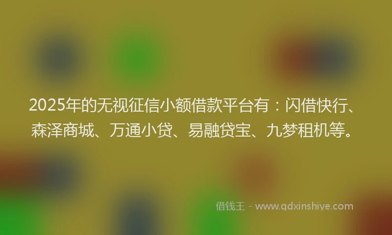 2025年的无视征信小额借款平台有：闪借快行、森泽商城、万通小贷、易融贷宝、九梦租机等。