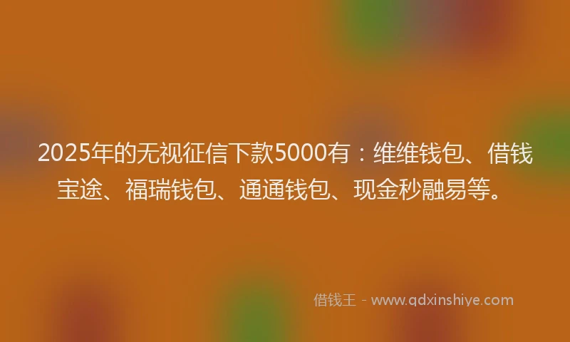 2025年的无视征信下款5000有：维维钱包、借钱宝途、福瑞钱包、通通钱包、现金秒融易等。