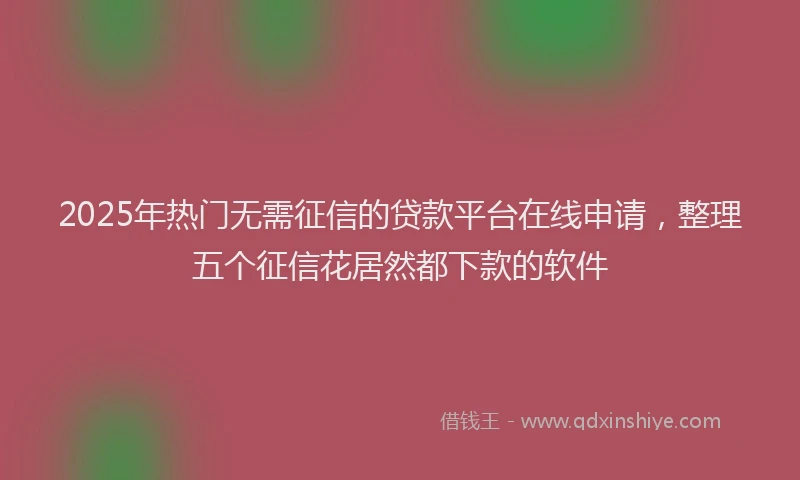 2025年热门无需征信的贷款平台在线申请，整理五个征信花居然都下款的软件