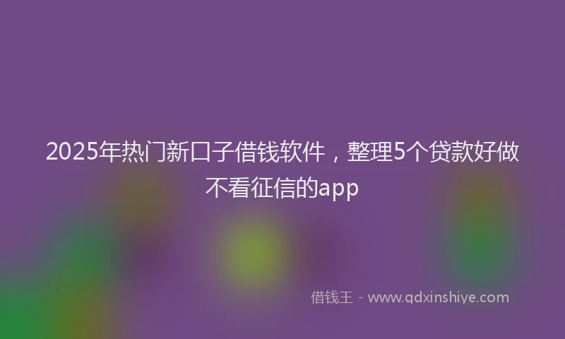2025年热门新口子借钱软件，整理5个贷款好做不看征信的app