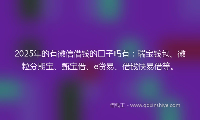 2025年的有微信借钱的口子吗有：瑞宝钱包、微粒分期宝、甄宝借、e贷易、借钱快易借等。