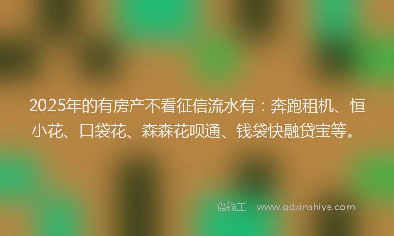 2025年的有房产不看征信流水有：奔跑租机、恒小花、口袋花、森森花呗通、钱袋快融贷宝等。