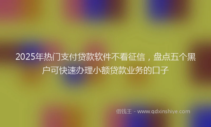 2025年热门支付贷款软件不看征信，盘点五个黑户可快速办理小额贷款业务的口子