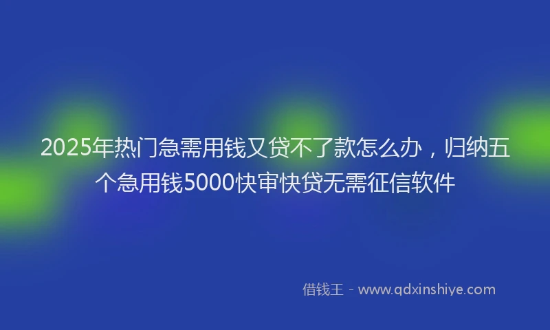 2025年热门急需用钱又贷不了款怎么办，归纳五个急用钱5000快审快贷无需征信软件