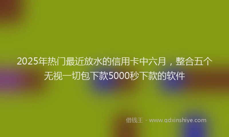 2025年热门最近放水的信用卡中六月，整合五个无视一切包下款5000秒下款的软件
