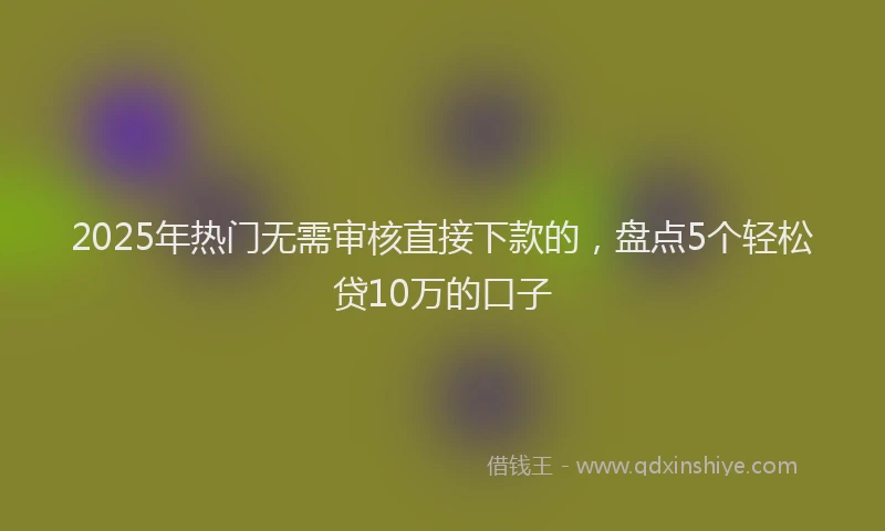 2025年热门无需审核直接下款的，盘点5个轻松贷10万的口子