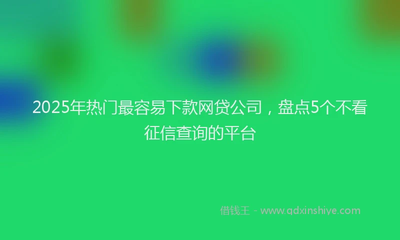 2025年热门最容易下款网贷公司，盘点5个不看征信查询的平台