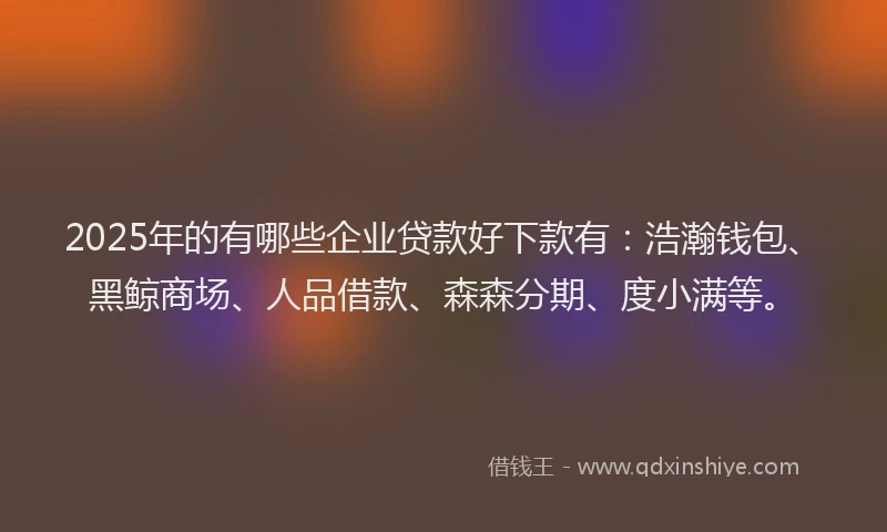 2025年的有哪些企业贷款好下款有：浩瀚钱包、黑鲸商场、人品借款、森森分期、度小满等。