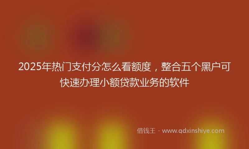 2025年热门支付分怎么看额度，整合五个黑户可快速办理小额贷款业务的软件