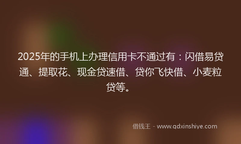 2025年的手机上办理信用卡不通过有：闪借易贷通、提取花、现金贷速借、贷你飞快借、小麦粒贷等。