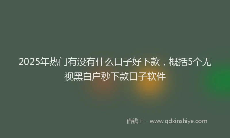 2025年热门有没有什么口子好下款，概括5个无视黑白户秒下款口子软件