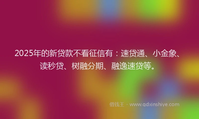 2025年的新贷款不看征信有：速贷通、小金象、读秒贷、树融分期、融逸速贷等。