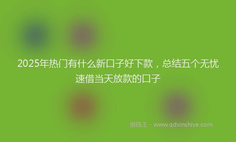 2025年热门有什么新口子好下款，总结五个无忧速借当天放款的口子