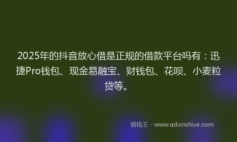 2025年的抖音放心借是正规的借款平台吗有：迅捷Pro钱包、现金易融宝、财钱包、花呗、小麦粒贷等。
