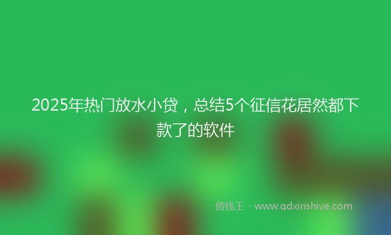 2025年热门放水小贷，总结5个征信花居然都下款了的软件