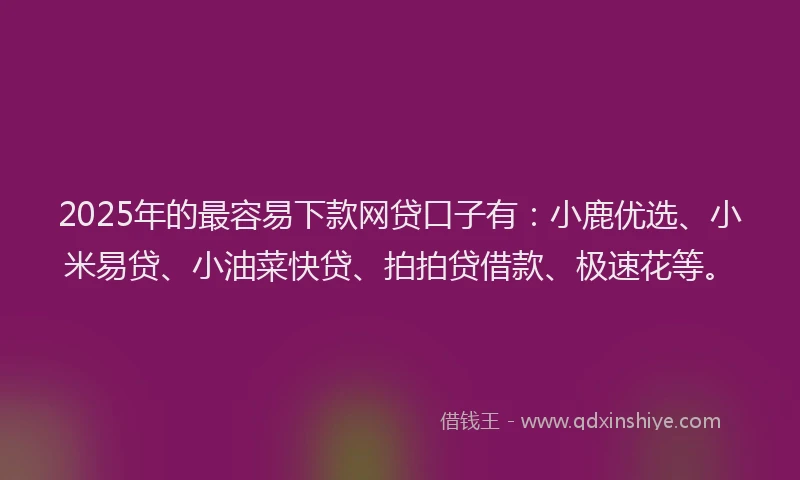 2025年的最容易下款网贷口子有：小鹿优选、小米易贷、小油菜快贷、拍拍贷借款、极速花等。