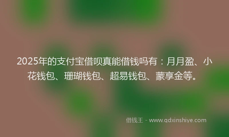 2025年的支付宝借呗真能借钱吗有：月月盈、小花钱包、珊瑚钱包、超易钱包、蒙享金等。