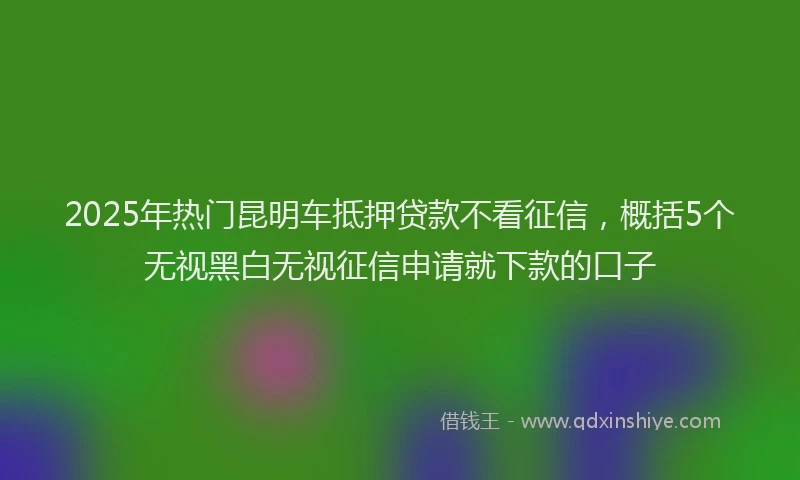 2025年热门昆明车抵押贷款不看征信，概括5个无视黑白无视征信申请就下款的口子