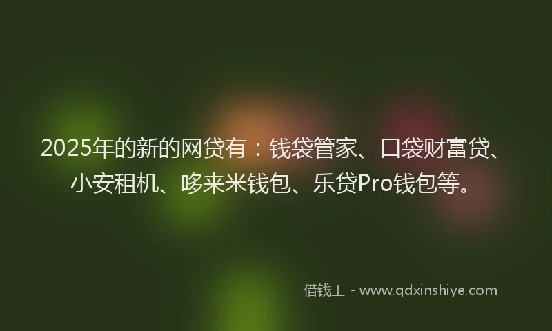 2025年的新的网贷有：钱袋管家、口袋财富贷、小安租机、哆来米钱包、乐贷Pro钱包等。