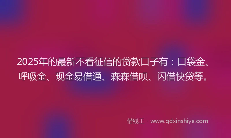2025年的最新不看征信的贷款口子有：口袋金、呼吸金、现金易借通、森森借呗、闪借快贷等。