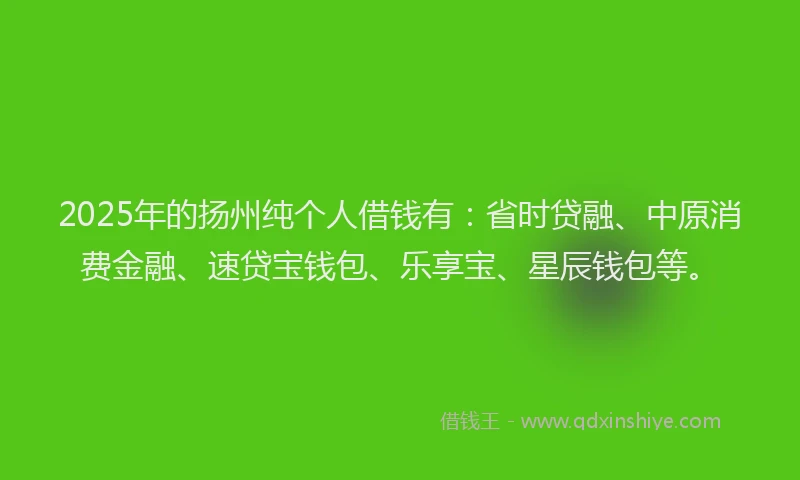 2025年的扬州纯个人借钱有：省时贷融、中原消费金融、速贷宝钱包、乐享宝、星辰钱包等。