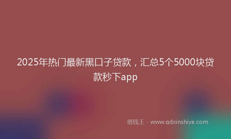 2025年热门最新黑口子贷款，汇总5个5000块贷款秒下app