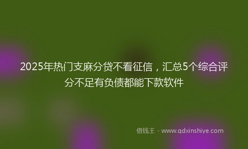 2025年热门支麻分贷不看征信，汇总5个综合评分不足有负债都能下款软件