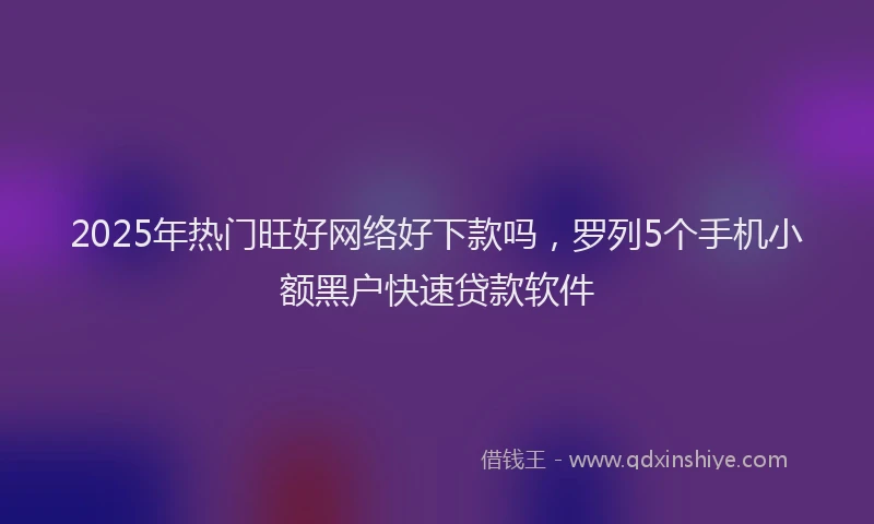 2025年热门旺好网络好下款吗，罗列5个手机小额黑户快速贷款软件