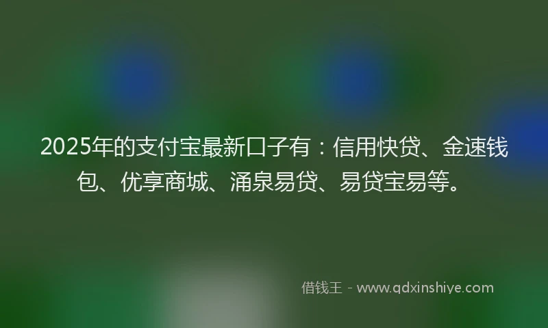 2025年的支付宝最新口子有：信用快贷、金速钱包、优享商城、涌泉易贷、易贷宝易等。