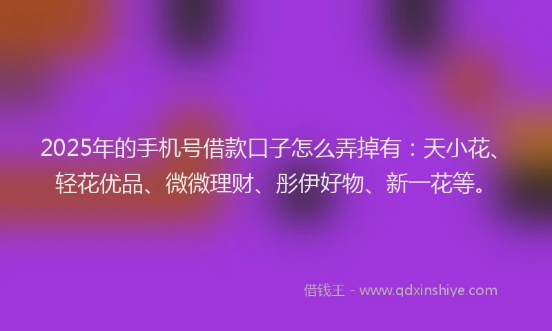 2025年的手机号借款口子怎么弄掉有：天小花、轻花优品、微微理财、彤伊好物、新一花等。