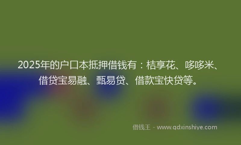 2025年的户口本抵押借钱有：桔享花、哆哆米、借贷宝易融、甄易贷、借款宝快贷等。