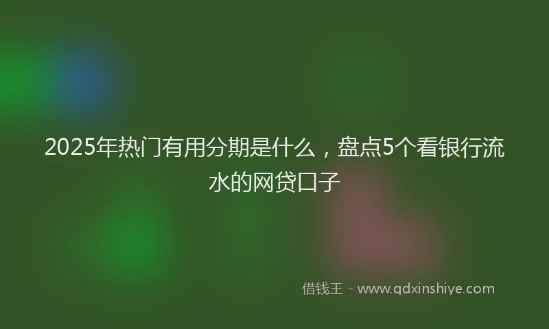 2025年热门有用分期是什么，盘点5个看银行流水的网贷口子