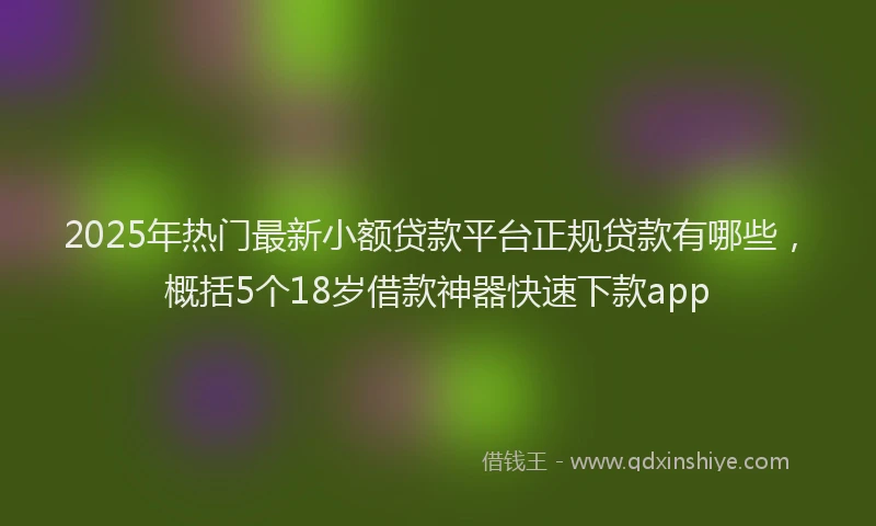 2025年热门最新小额贷款平台正规贷款有哪些，概括5个18岁借款神器快速下款app