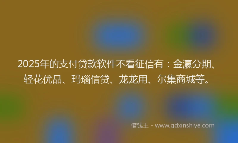2025年的支付贷款软件不看征信有：金瀛分期、轻花优品、玛瑙信贷、龙龙用、尔集商城等。