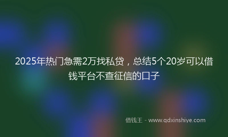 2025年热门急需2万找私贷，总结5个20岁可以借钱平台不查征信的口子