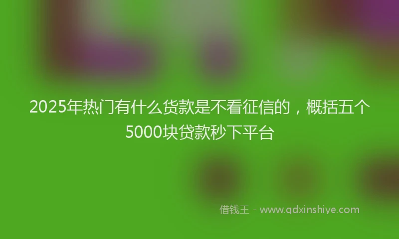 2025年热门有什么货款是不看征信的，概括五个5000块贷款秒下平台