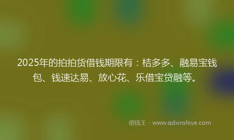 2025年的拍拍货借钱期限有：桔多多、融易宝钱包、钱速达易、放心花、乐借宝贷融等。