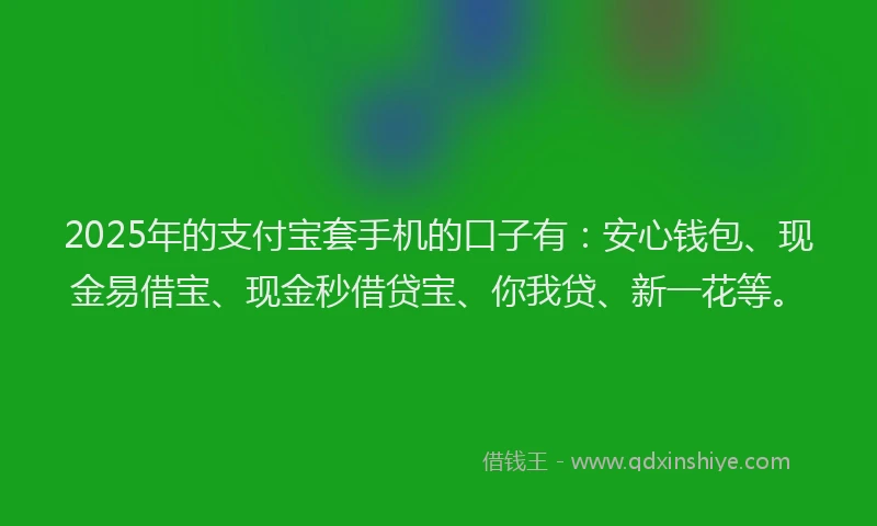 2025年的支付宝套手机的口子有：安心钱包、现金易借宝、现金秒借贷宝、你我贷、新一花等。