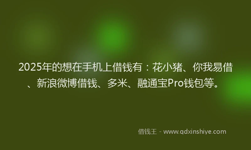 2025年的想在手机上借钱有：花小猪、你我易借、新浪微博借钱、多米、融通宝Pro钱包等。